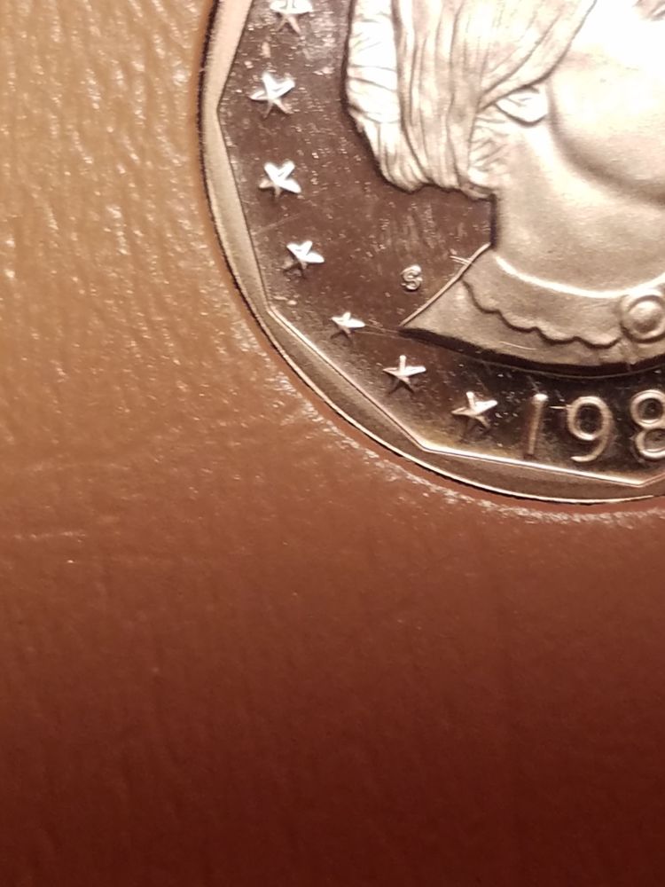 Type-1-Or-Type-2-SBA-Dollar